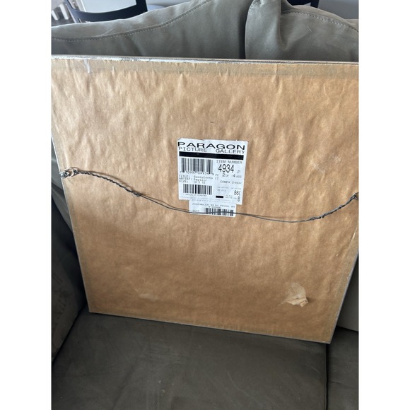 Paragon Picture Gallery Succulents I And II By Sayilir Each 18"x18" - Picture 5 of 7